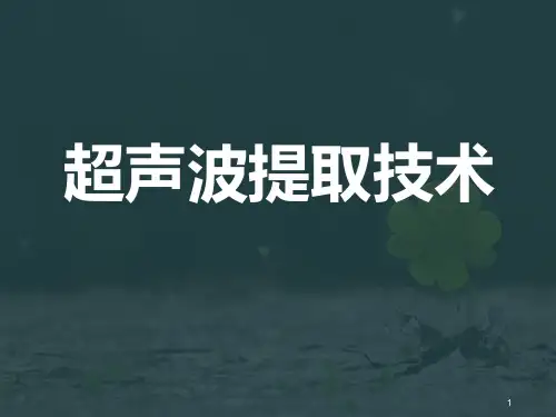 超声波提取技术ppt课件