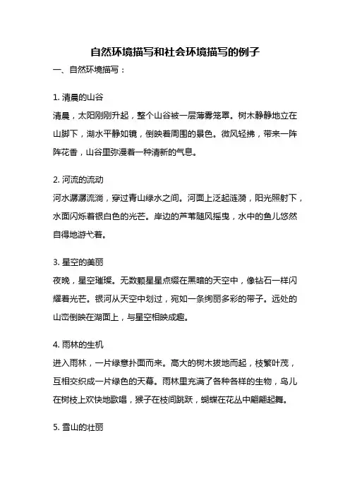 自然环境描写和社会环境描写的例子