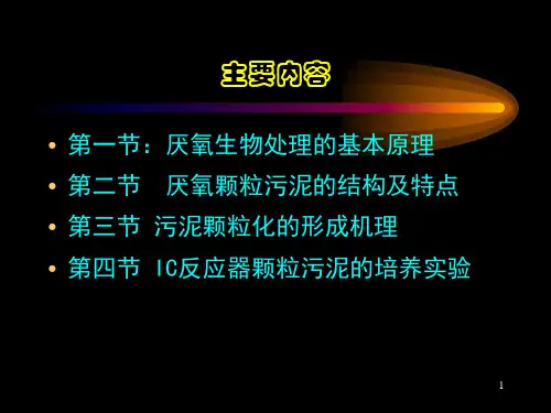厌氧颗粒污泥.ppt