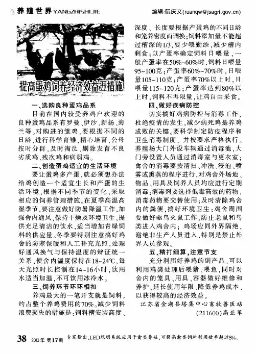 提高蛋鸡饲养经济效益五措施