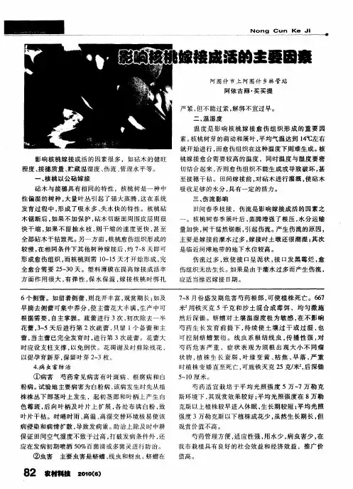 影响核桃嫁接成活的主要因素
