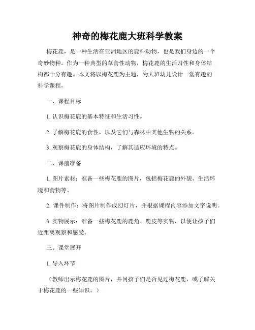 神奇的梅花鹿大班科学教案
