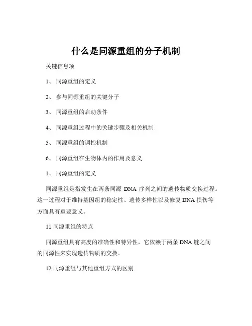 什么是同源重组的分子机制