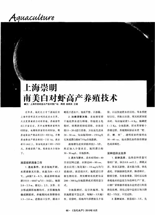上海崇明南美白对虾高产养殖技术