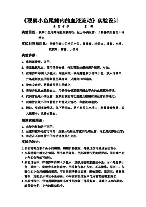 观察小鱼尾鳍内的血液流动