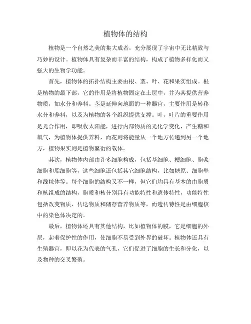植物体的结构