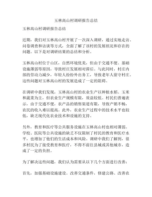 玉林高山村调研报告总结