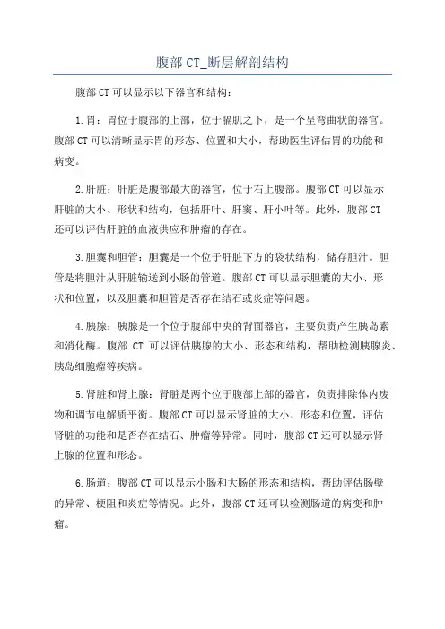 腹部CT_断层解剖结构