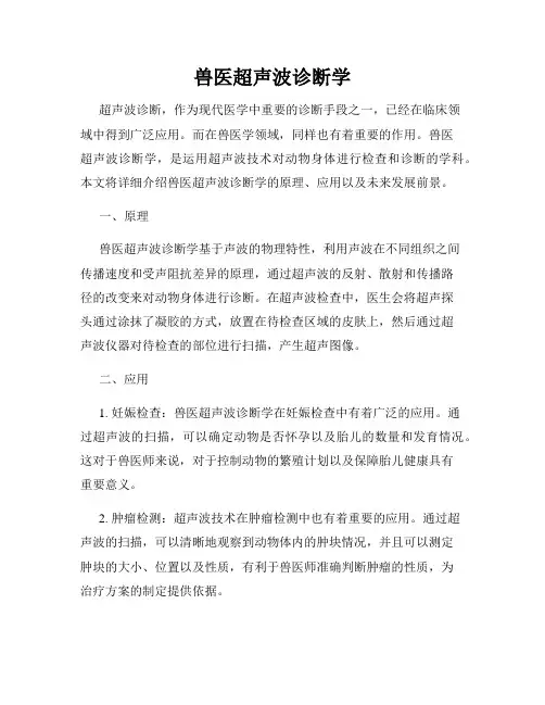 兽医超声波诊断学