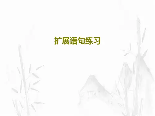 扩展语句练习PPT文档26页