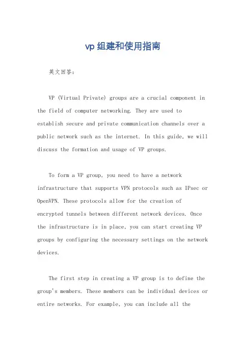 vp组建和使用指南
