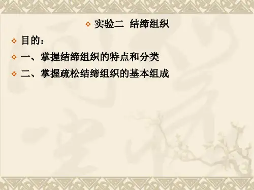 组织学与胚胎学实验指导：2实验二 结缔组织(LDM)