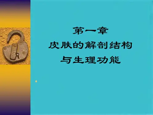 皮肤的结构与生理功能(共58张PPT)