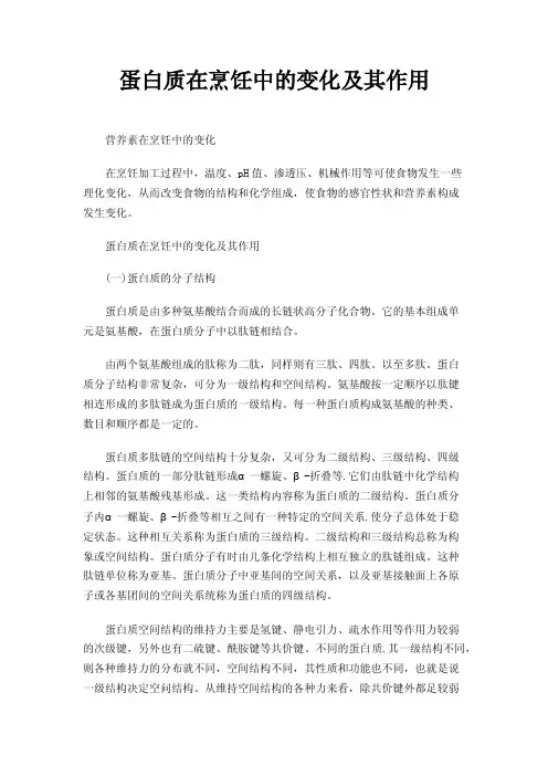 蛋白质在烹饪中的变化及其作用