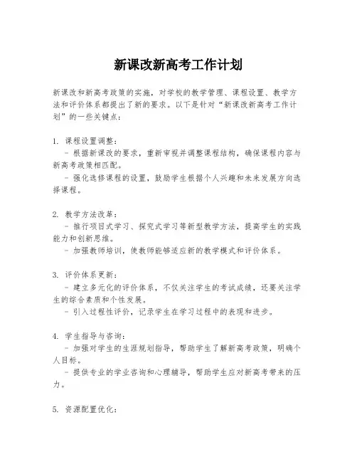 新课改新高考工作计划