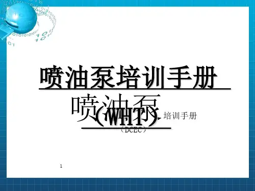 威孚DCEC喷油泵作业指导书