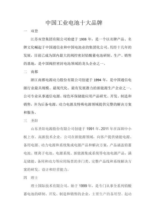 中国工业电池十大品牌
