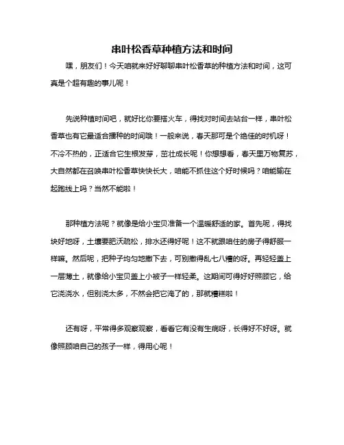 串叶松香草种植方法和时间