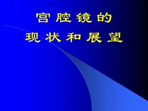 宫腔镜现状和展望