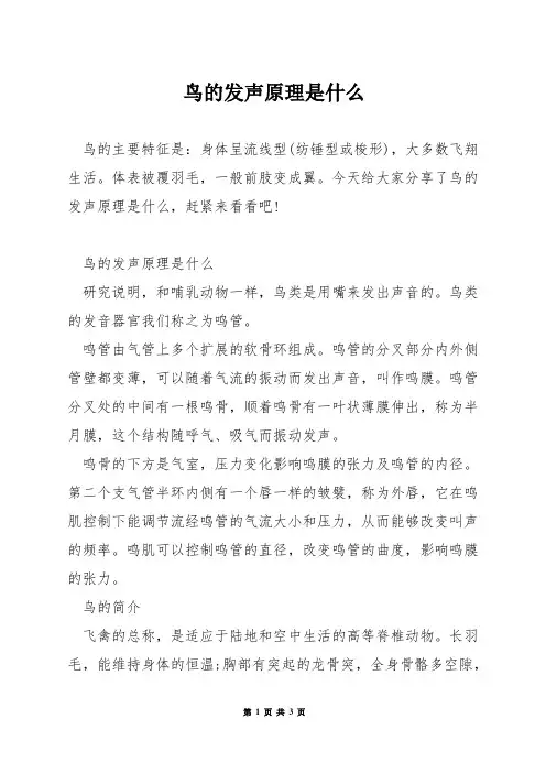 鸟的发声原理是什么