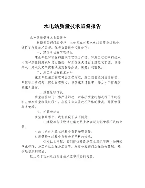 水电站质量技术监督报告