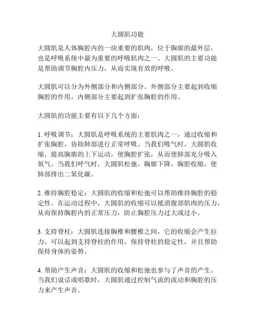 大圆肌功能