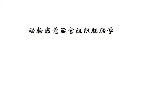 动物感觉器官组织胚胎学