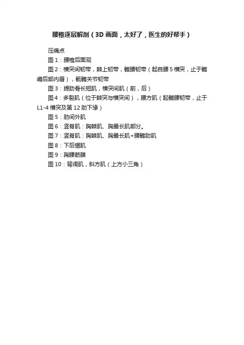 腰椎逐层解剖（3D画面，太好了，医生的好帮手）