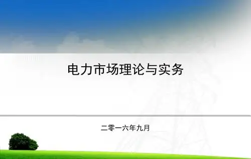 电力市场理论与实务(下)