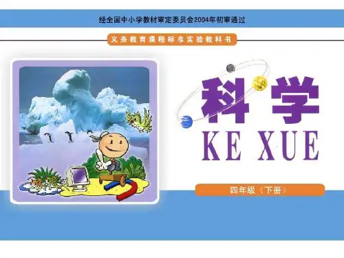 弹簧和橡皮筋ppt