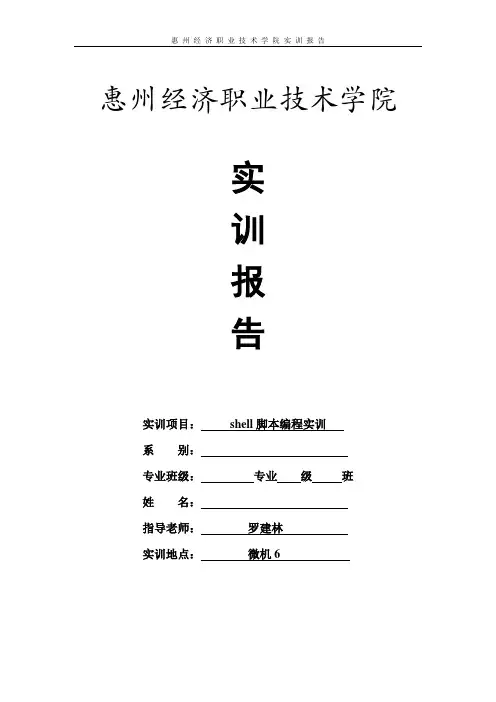 shell实训报告
