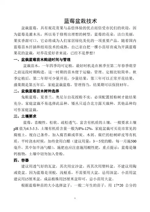 蓝莓的盆栽技术