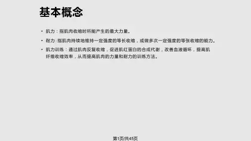 增强肌力耐力的训练PPT课件