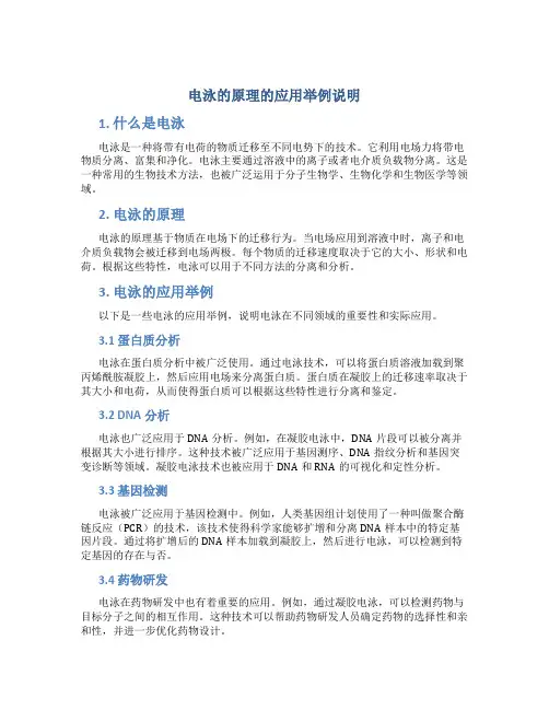 电泳的原理的应用举例说明
