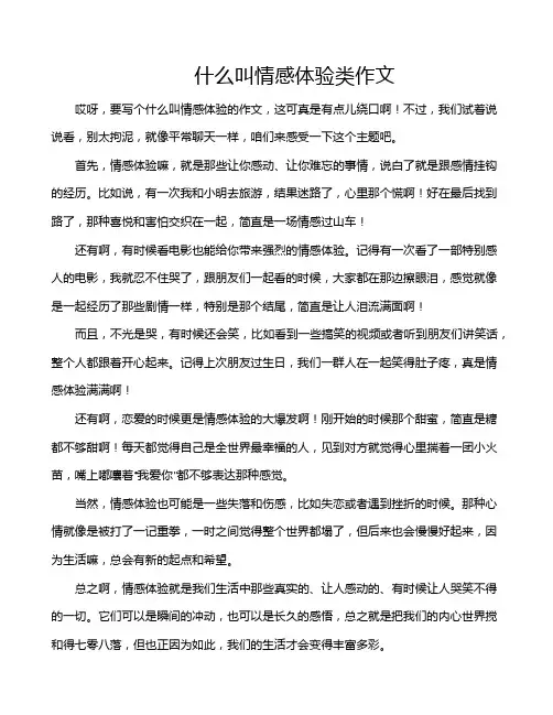 什么叫情感体验类作文