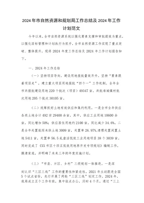 2024年市自然资源和规划局工作总结及2024年工作计划范文