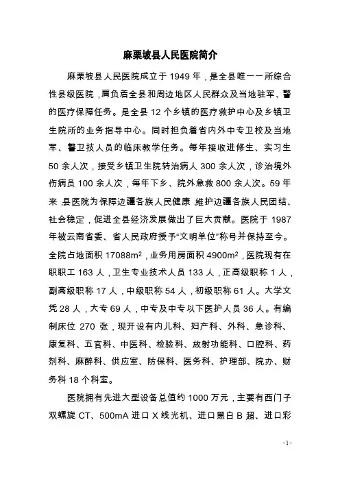 麻栗坡县人民医院简介