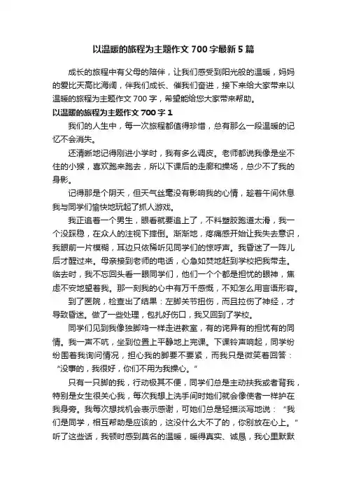 以温暖的旅程为主题作文700字最新5篇
