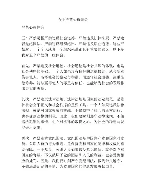 五个严禁心得体会