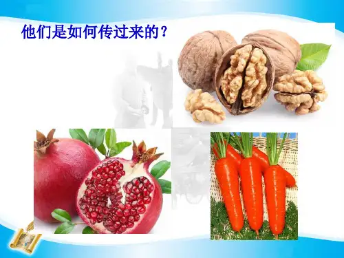 丝绸之路2PPT课件