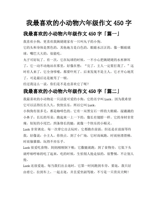 我最喜欢的小动物六年级作文450字