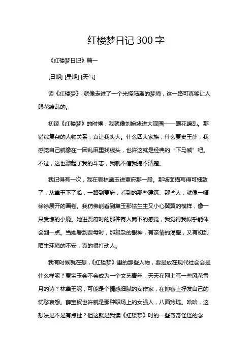 红楼梦日记300字