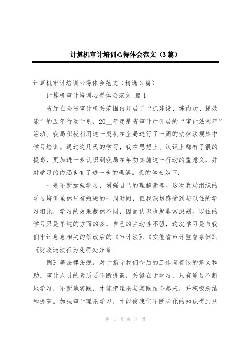 计算机审计培训心得体会范文(3篇)