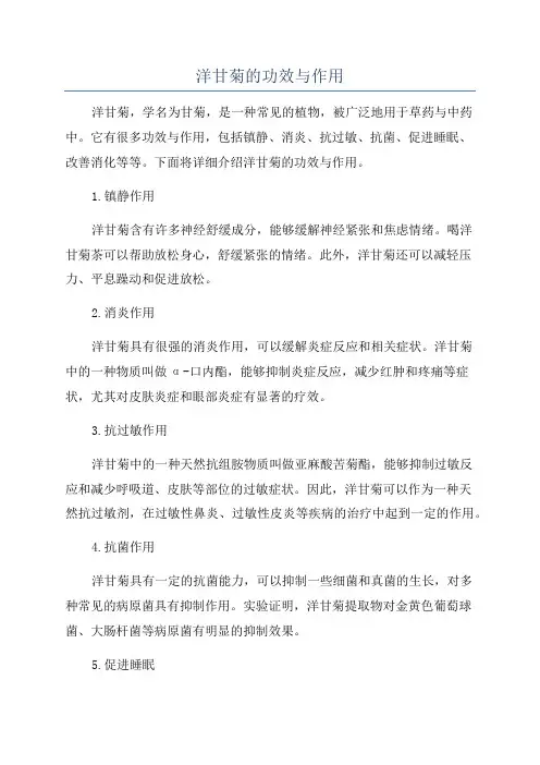 洋甘菊的功效与作用