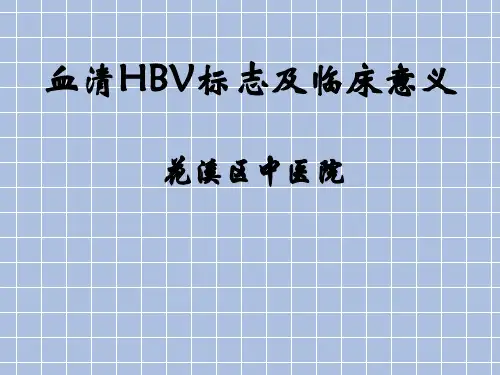 血清HBV标志及临床意义