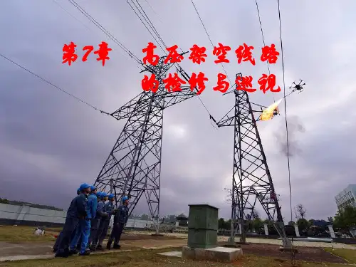 维护线路的各种巡视-完整版PPT课件