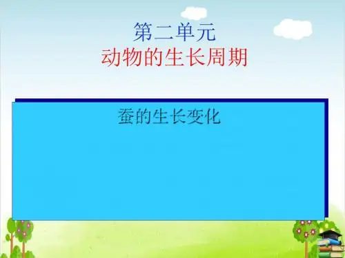 蚕的生长变化PPT课件 ｜教科版1