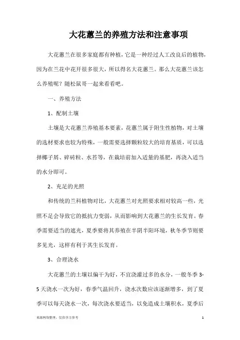 大花蕙兰的养殖方法和注意事项