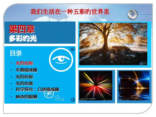 《多彩的光》--沪科版八年级全册物理省公开课获奖课件说课比赛一等奖课件