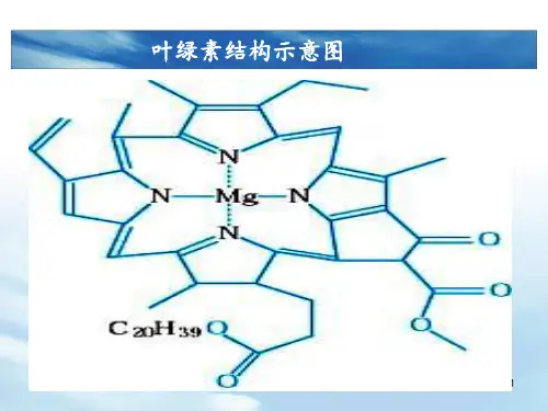 -配合物理论简介(上课用)PPT课件